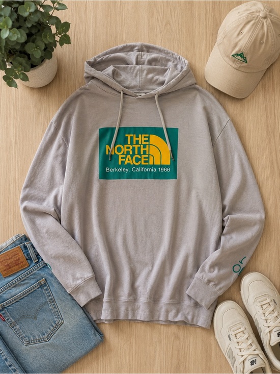 The North Face Other - The North Face Lightweight Graphic Hooded Long Sleeve Tee Gray Men’s XXL